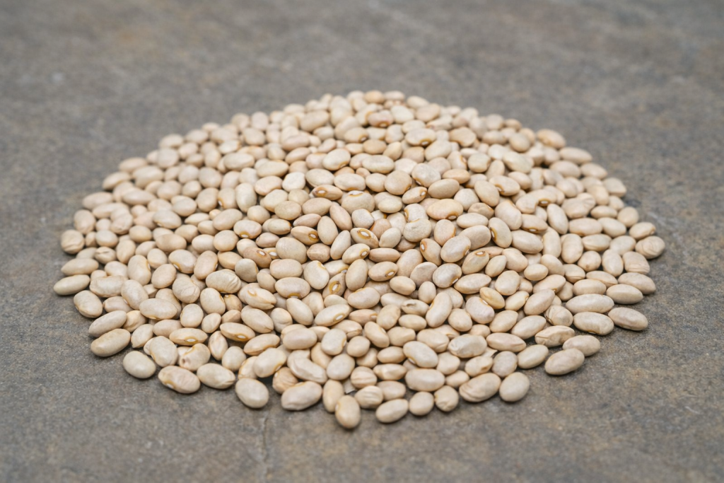 Cream Beans