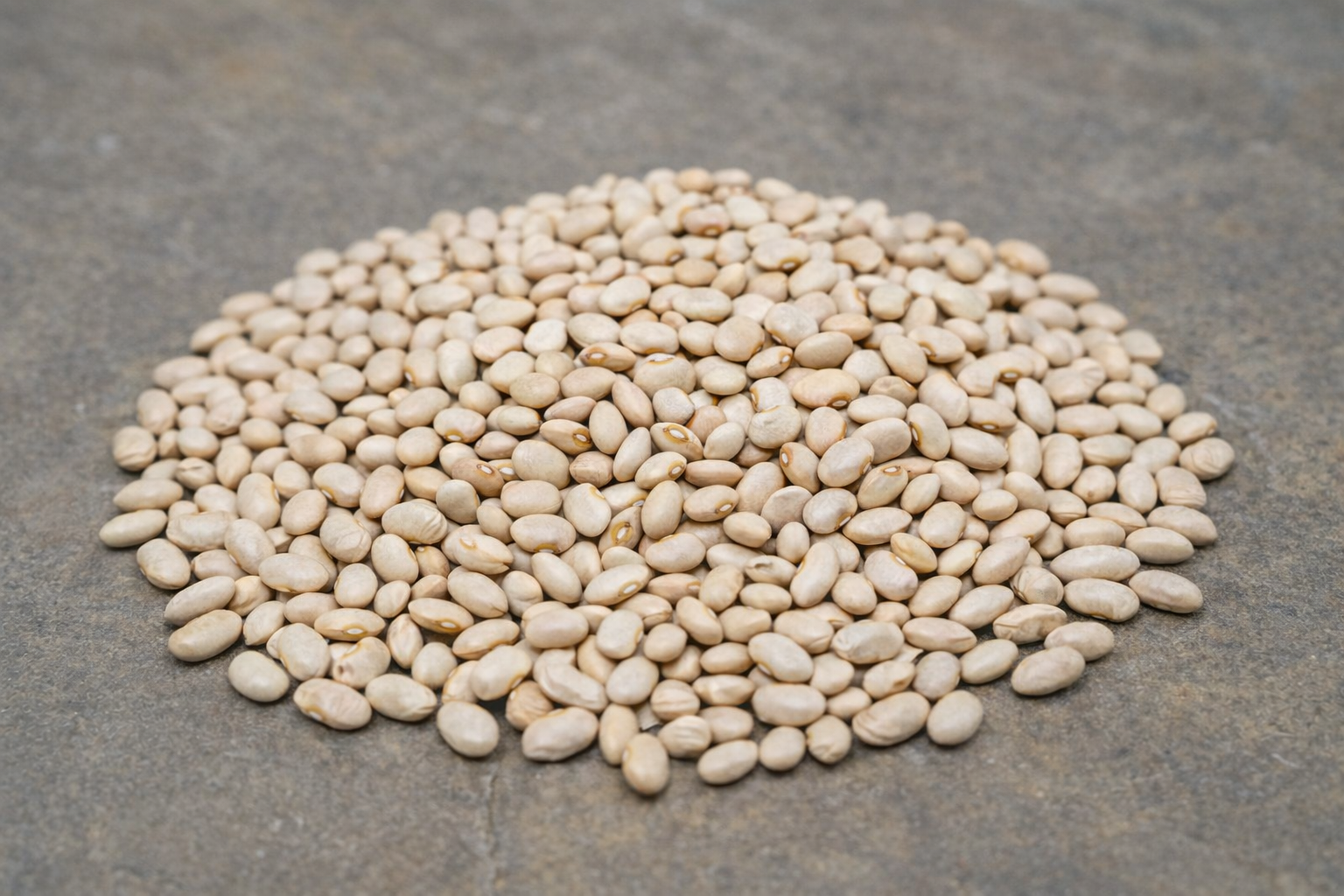 Cream Beans