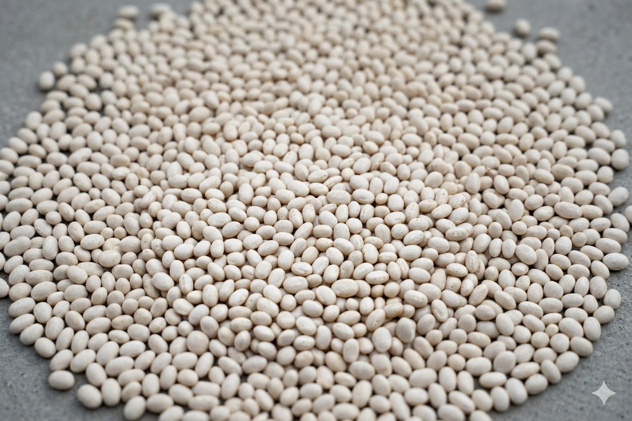White Pea Beans